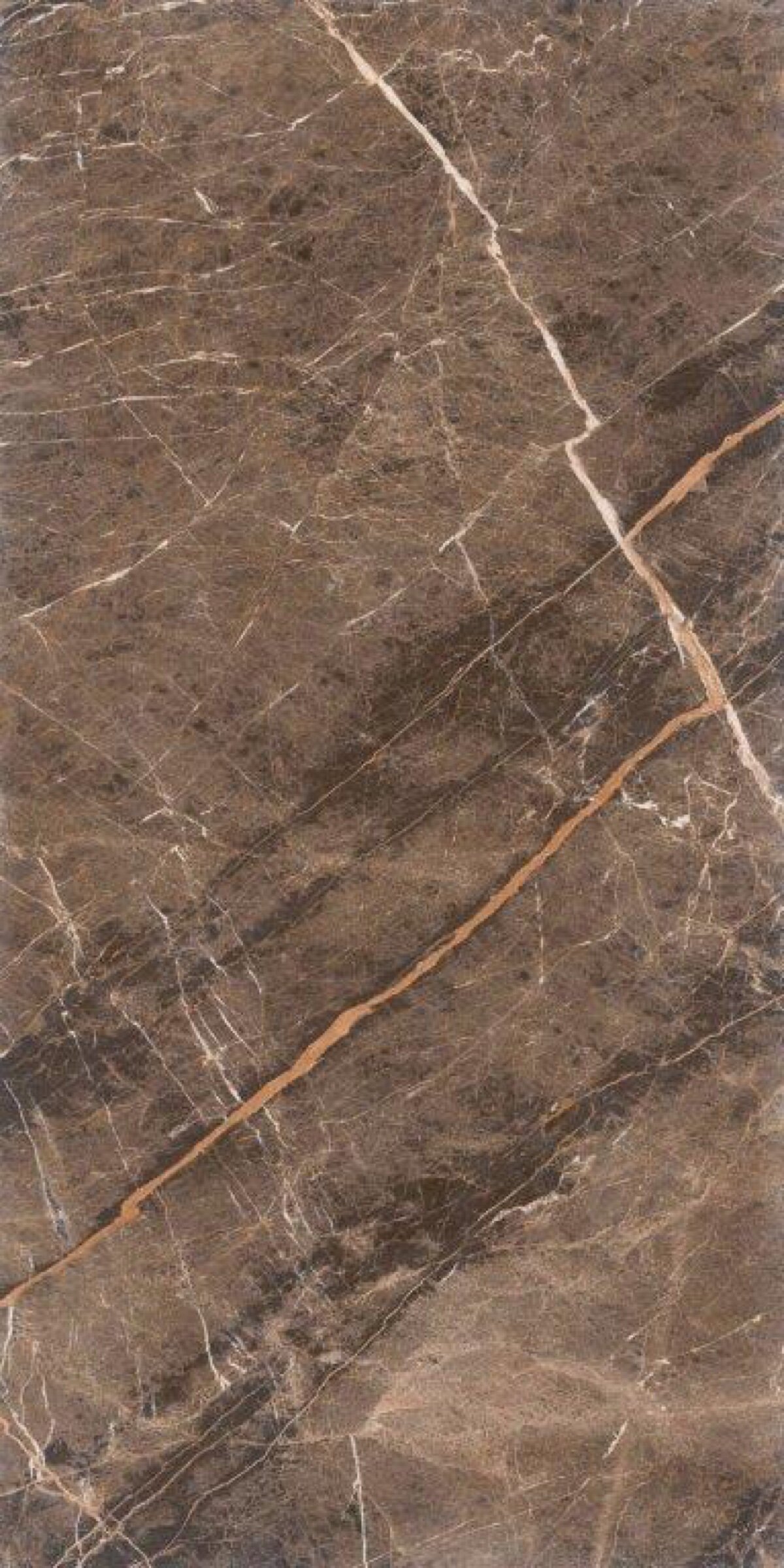 Emperador Braun 60x120 cm - Poliert